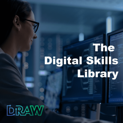 The Digital Skills Library